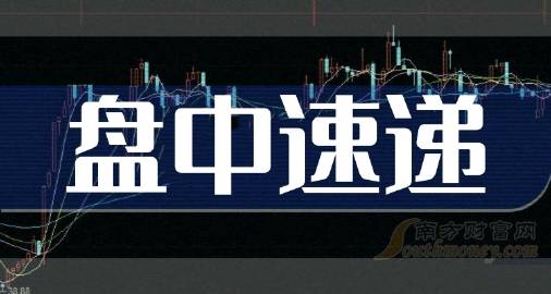 新中基股票最新动态与小巷深处的特色小店探秘