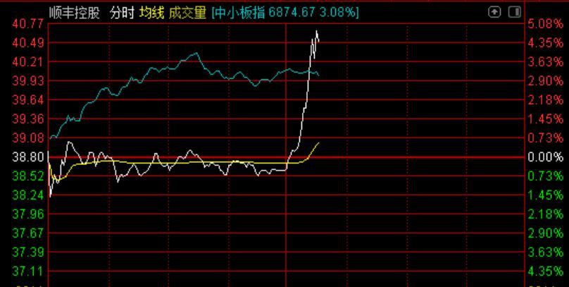 顺丰控股股票最新动态全面解析，深度分析与观点阐述