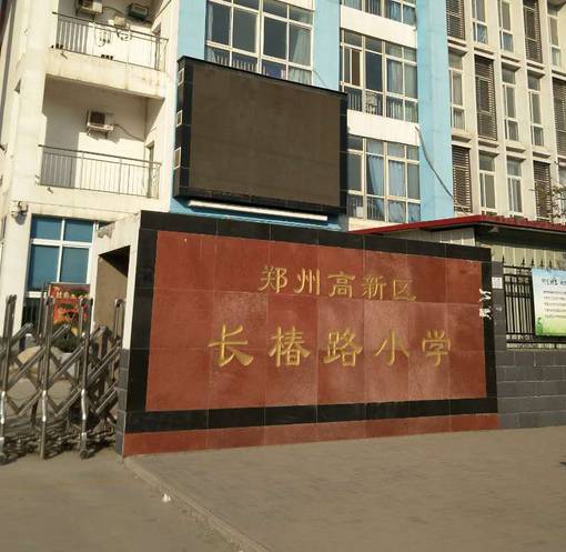电科院最新动态揭秘，小巷特色小店探秘，独特环境魅力让你流连忘返！