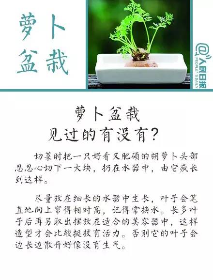 启程寻找自然美景的奇妙之旅，最新搞笑词一网打尽