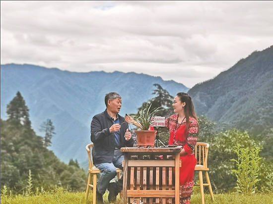 多多电影最新，自然美景之旅，探寻内心宁静的旅程