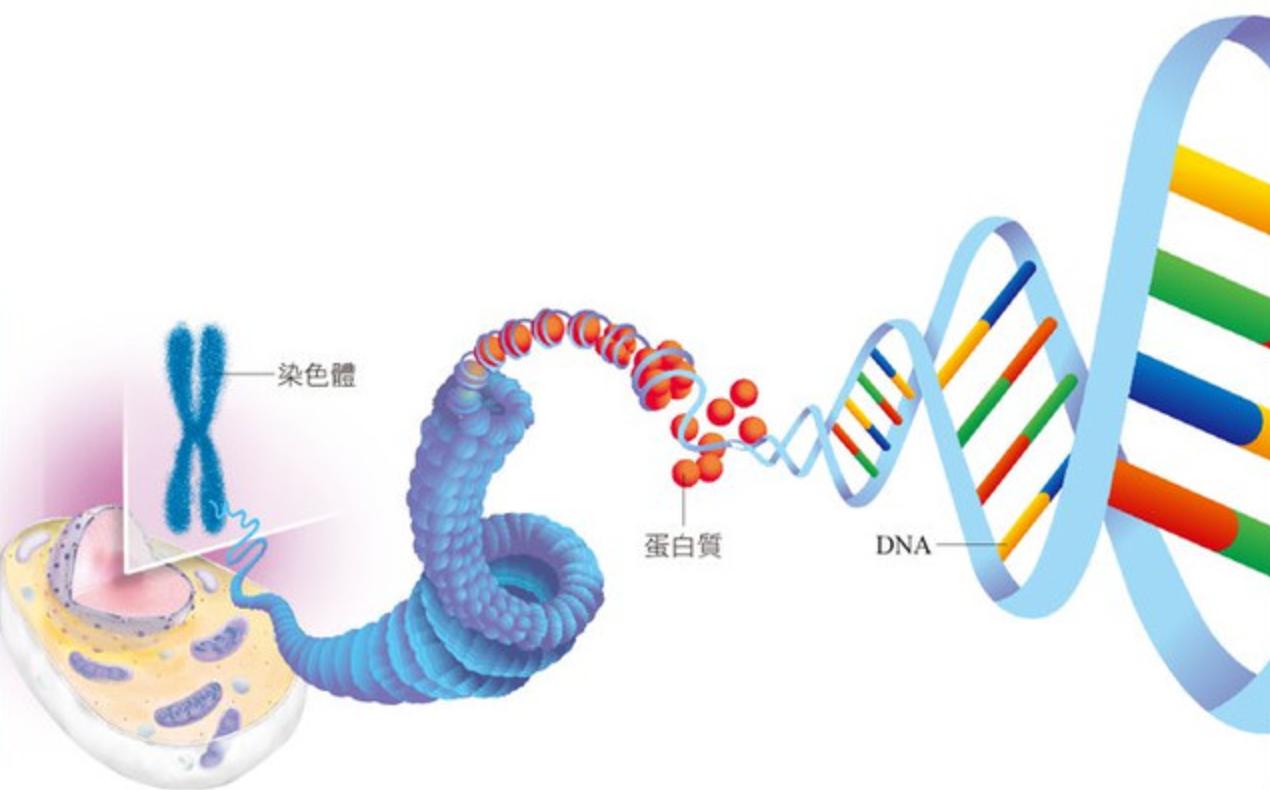 最新生物医学材料，友情与陪伴的神奇之旅探索