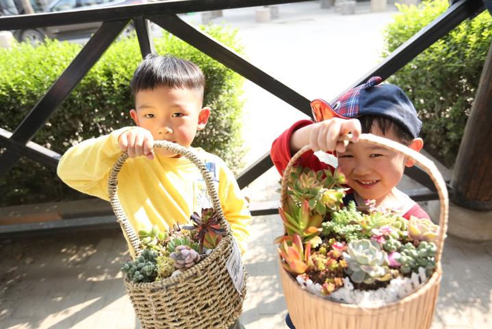 多肉小宝贝，小巷中的绿意新发现