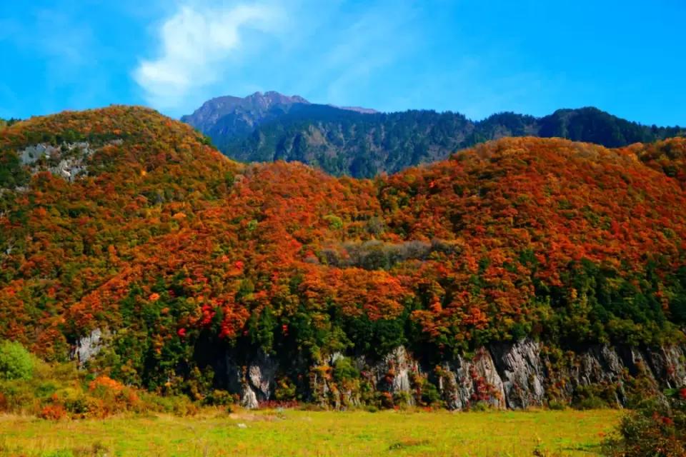 成都至理县最新路况揭秘，风景与情感交织的旅程