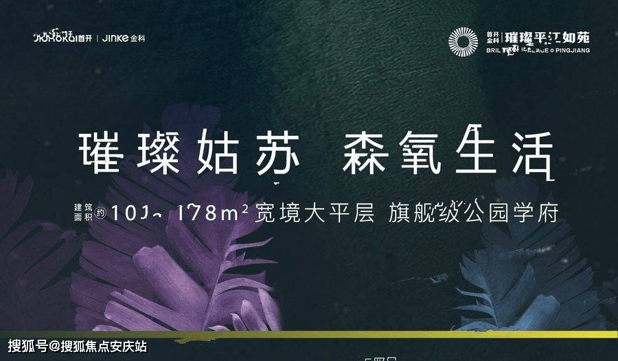 官梯最新章节2，权力之路波折突破之路