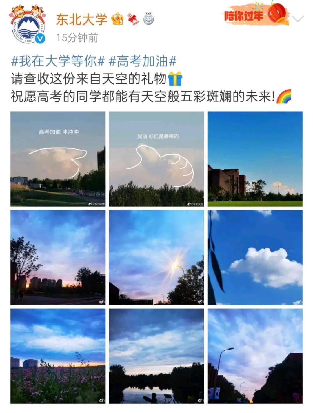 面粉行业最新信息解析，获取与应用指南助力行业发展