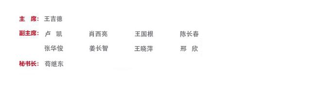 陕西省委常委最新名单揭晓，探索小巷独特风味之旅