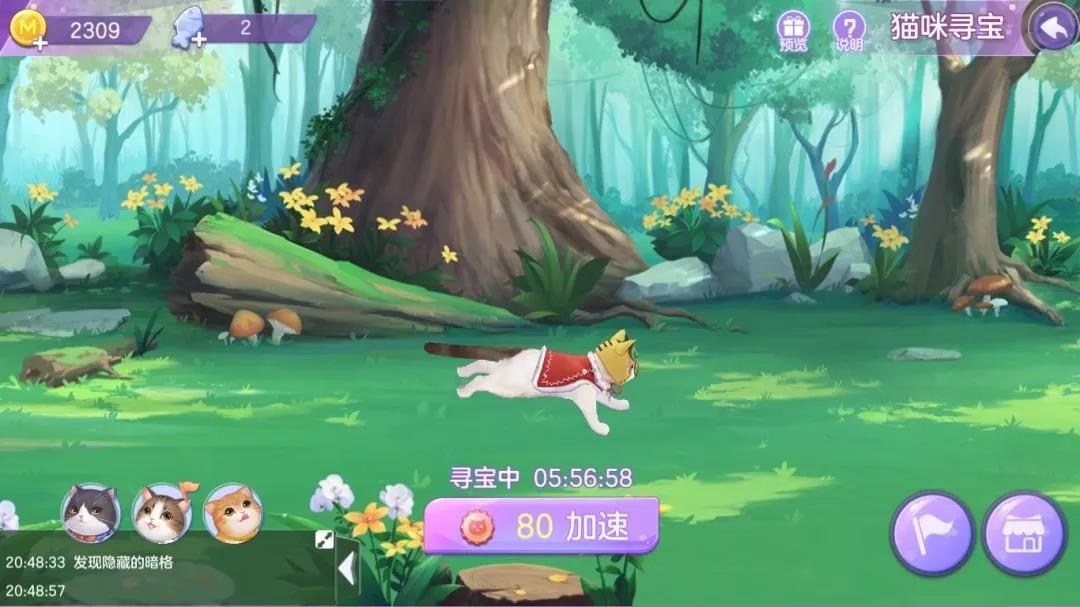 猫咪软件官网最新版，科技宠物的温馨家园
