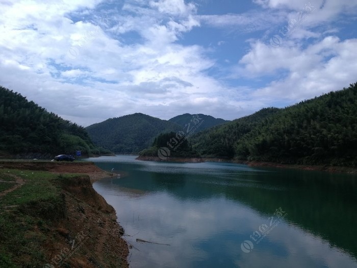 🌟向阳桥水库最新动态🌟