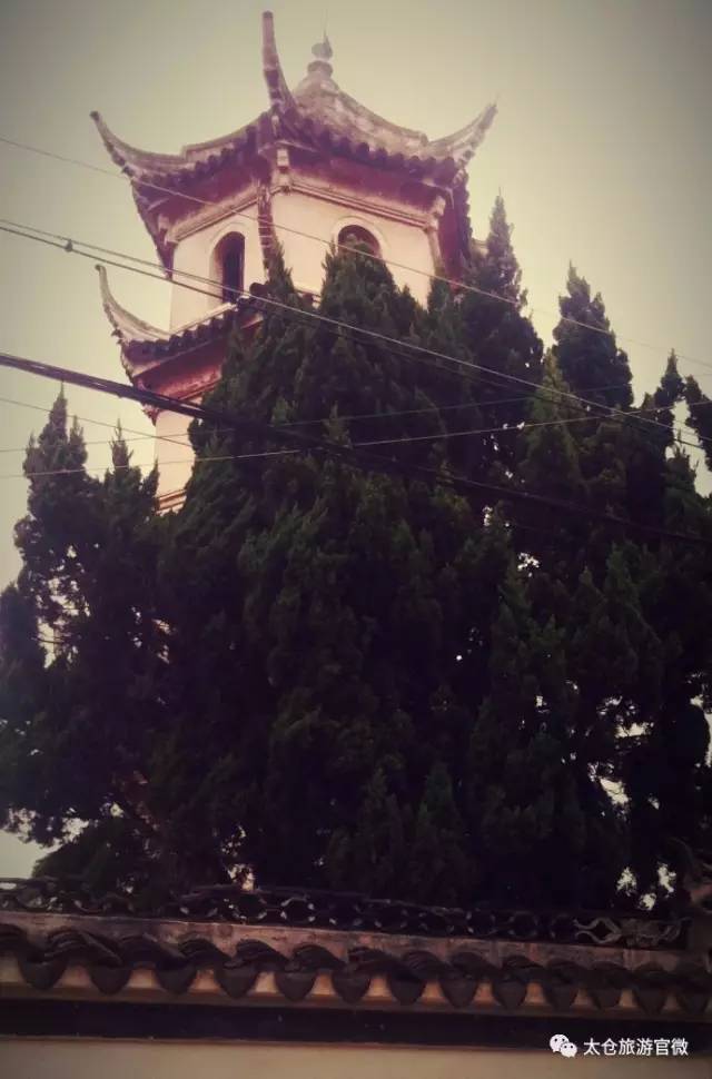 太仓璜泾最新招聘信息揭秘，小巷里的职业宝藏等你来发掘！