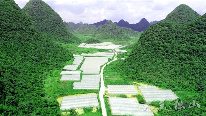 心灵宁静之旅