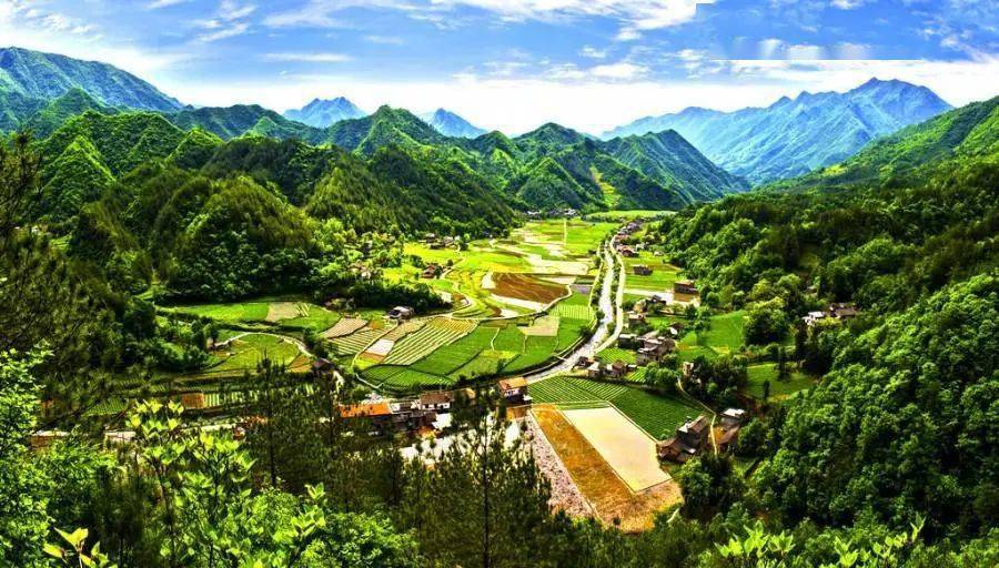 城口新闻最新动态，城市中的温馨日常故事