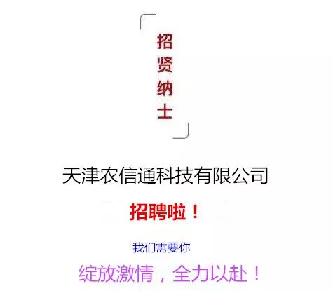 武清区最新招聘信息，时代脉搏下的职业新篇章