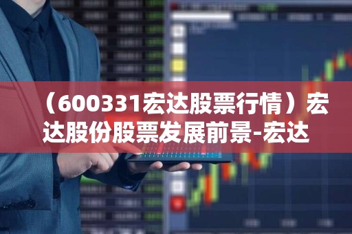 宏达股份最新动态深度解析与观点阐述