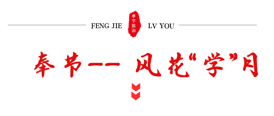 山岸逢花的新变化，学习之旅中的自信与成就之花盛开