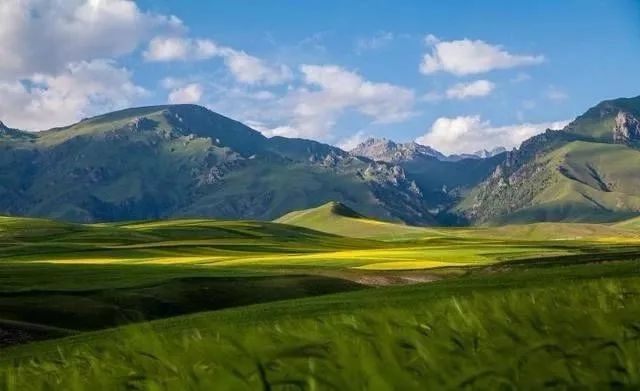 定残赔偿最新标准，治愈之旅中的探索自然美景之路