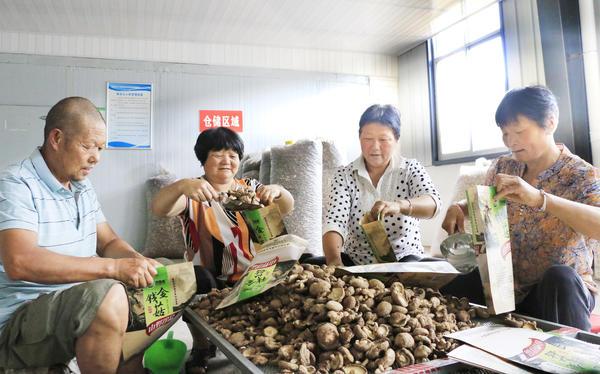 最新销售平台使用指南，全方位引领您进入销售新纪元