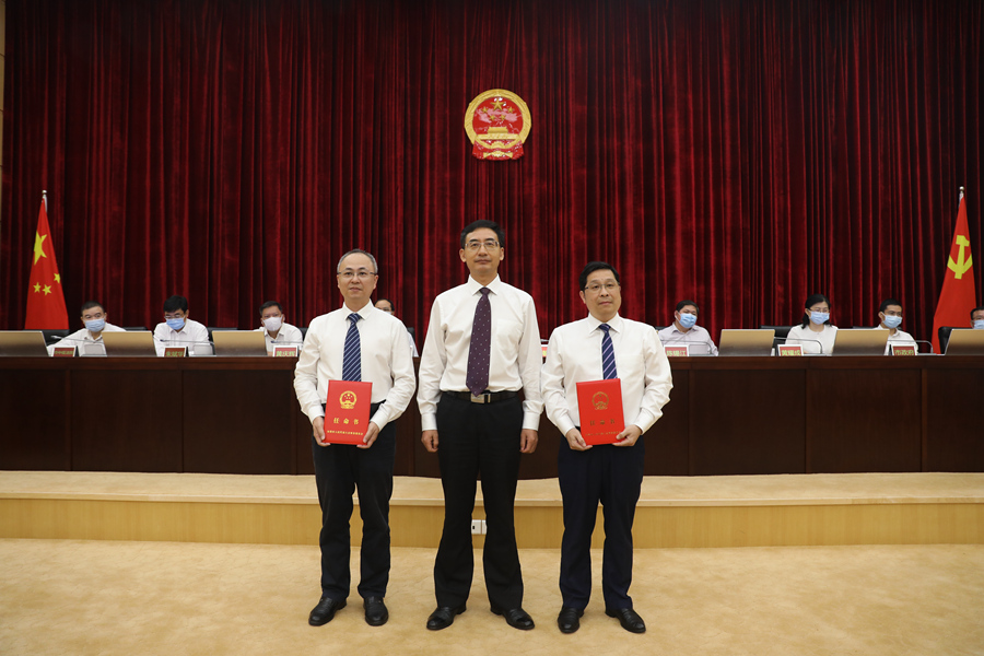 东莞最新人事任免,东莞最新人事任免动态分析