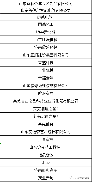 莱芜金点子最新招聘，探寻发展脉络与当下地位，把握职业机遇