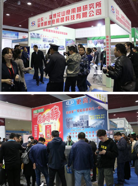 三门峡市最新新闻回顾，时代脉搏下的新发展动态