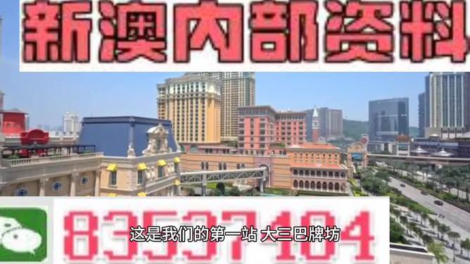 新澳门资料大全正版资料2024,实践调查说明_WFN25.691按需版