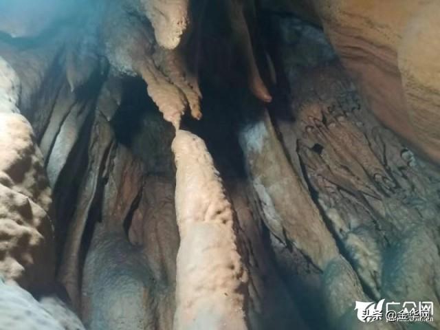 金华教育网最新公告，探索自然美景之旅启程