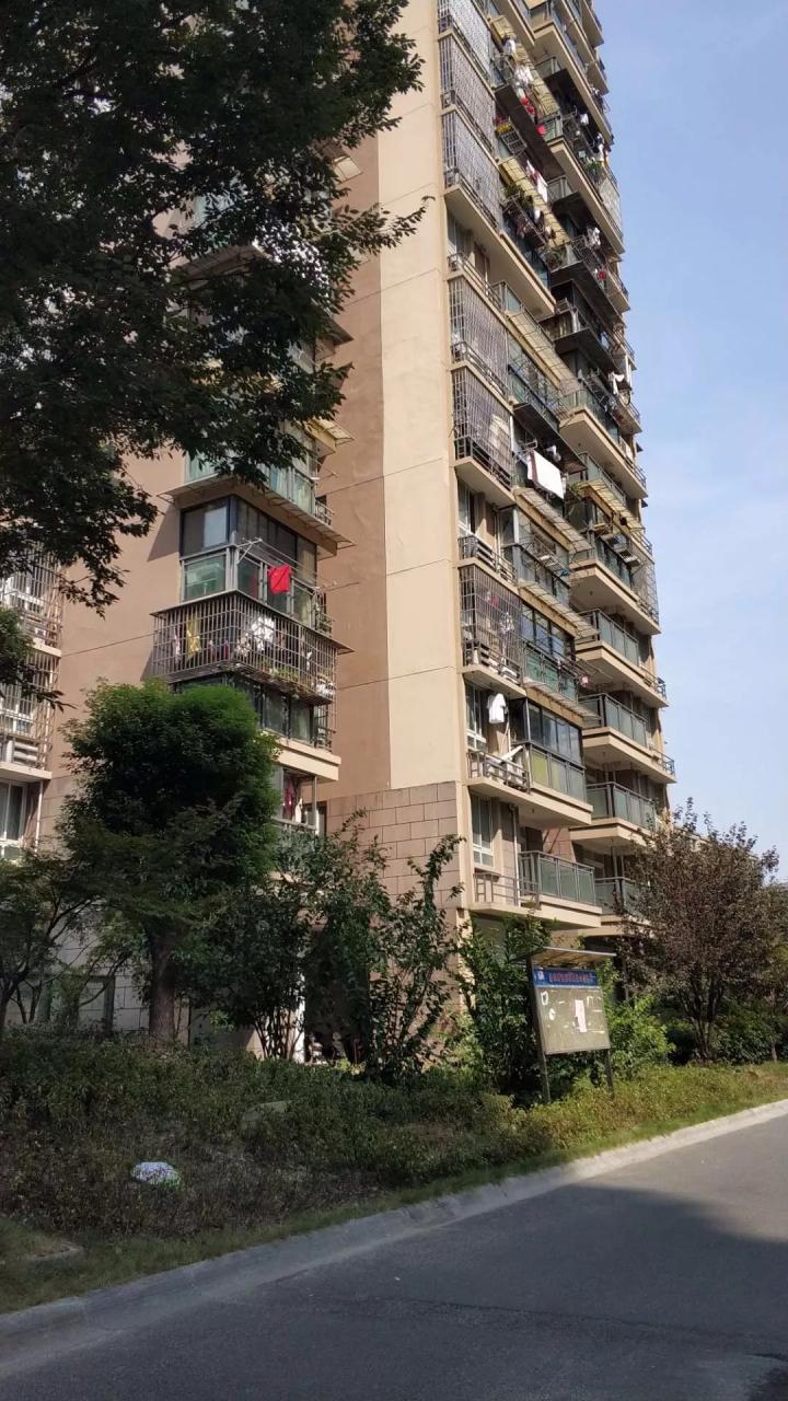 最新舟山定海二手房，小巷深处的隐藏瑰宝