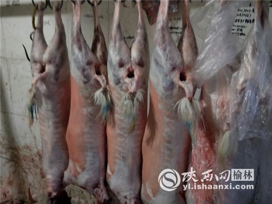 定边最新房屋出售信息详解，购房步骤指南