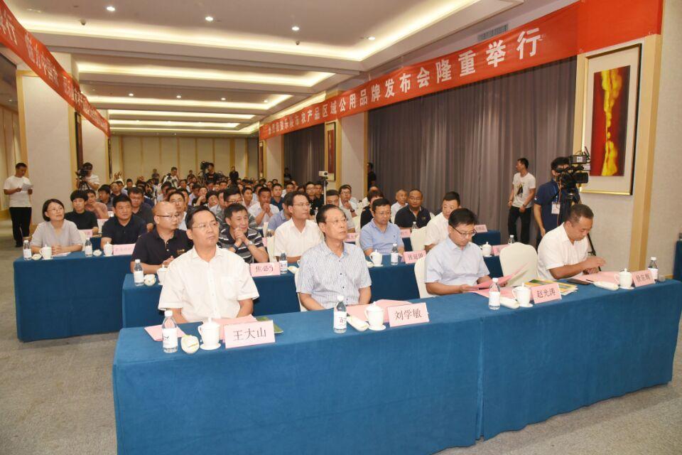 浙江龙盛最新高科技产品介绍，科技与生活的完美融合新闻发布