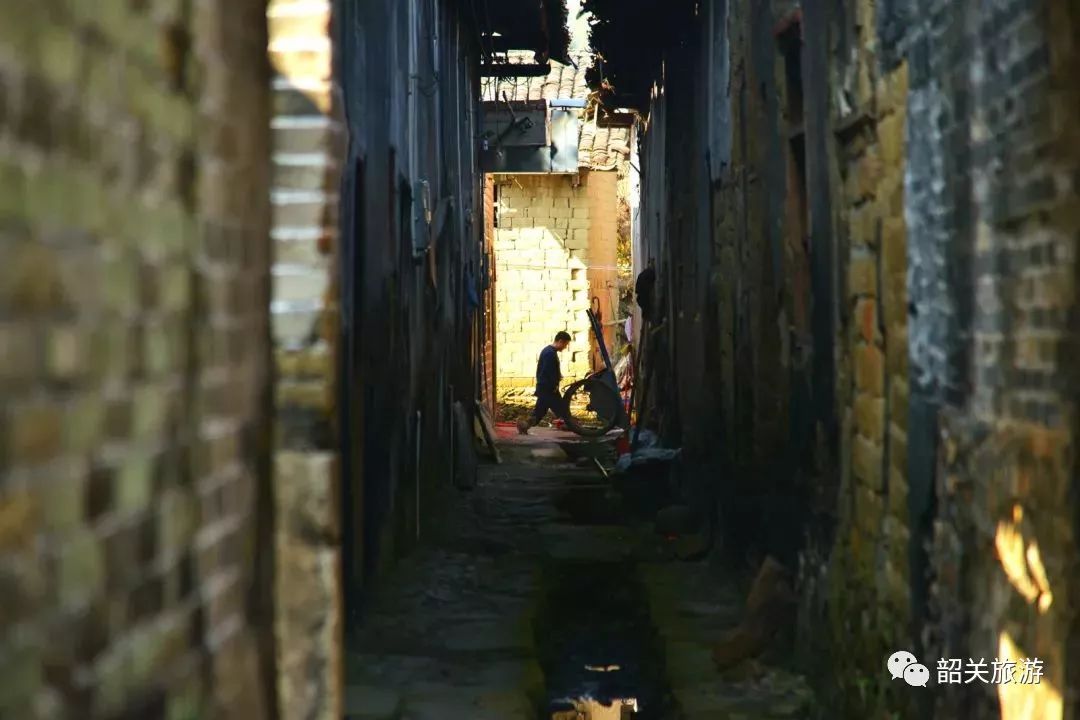 韦昭尤最新，小巷中的美食秘密