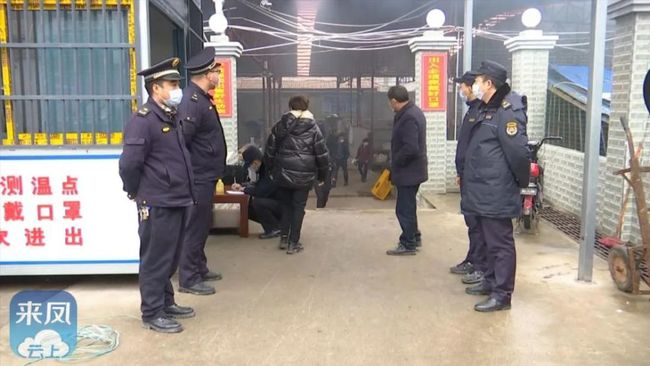 来凤向军最新消息更新，最新动态与资讯速递