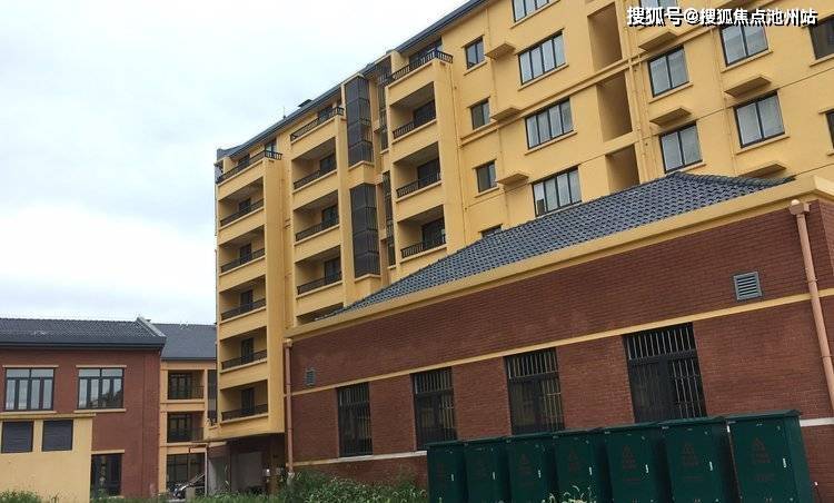 保利大家最新动态深度解析与观点阐述
