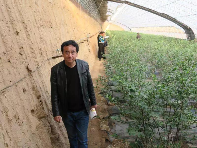 河北三地合作社最新动态概述