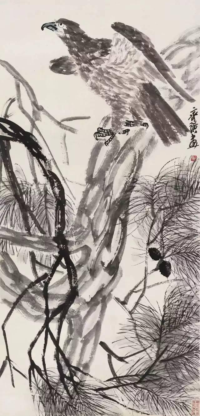 最新手机资讯网，探索自然美景，寻找内心平和之旅
