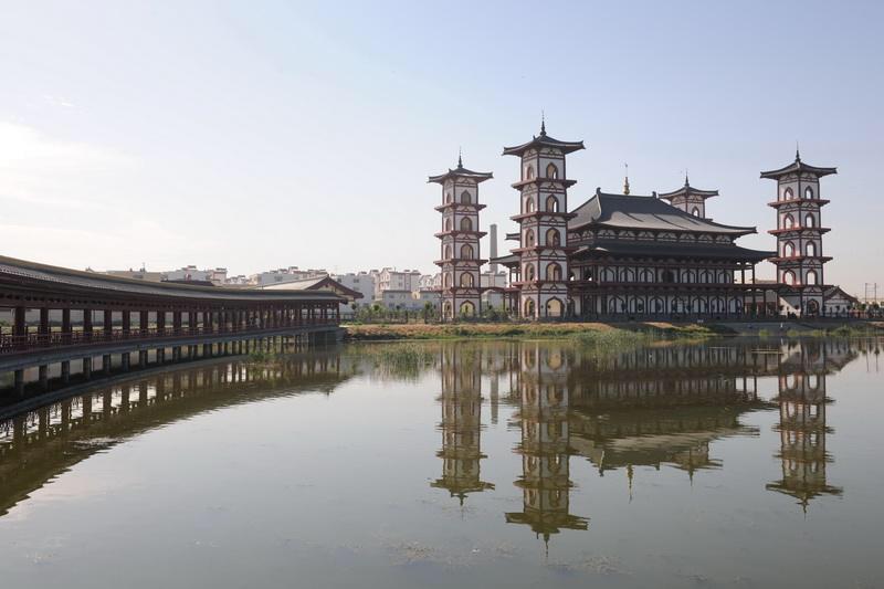 青铜峡最新干部公示，启程自然之旅的干部风采展示