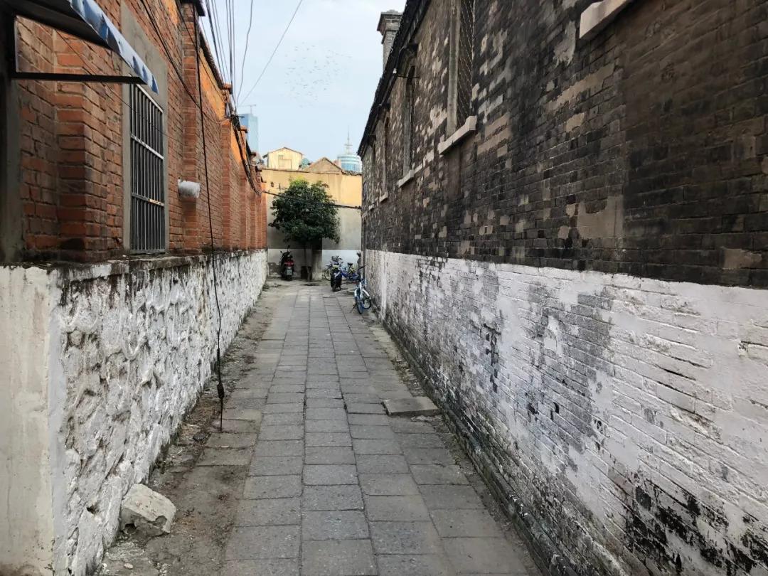 小巷深处的隐藏瑰宝，最新动画大片独特魅力展示