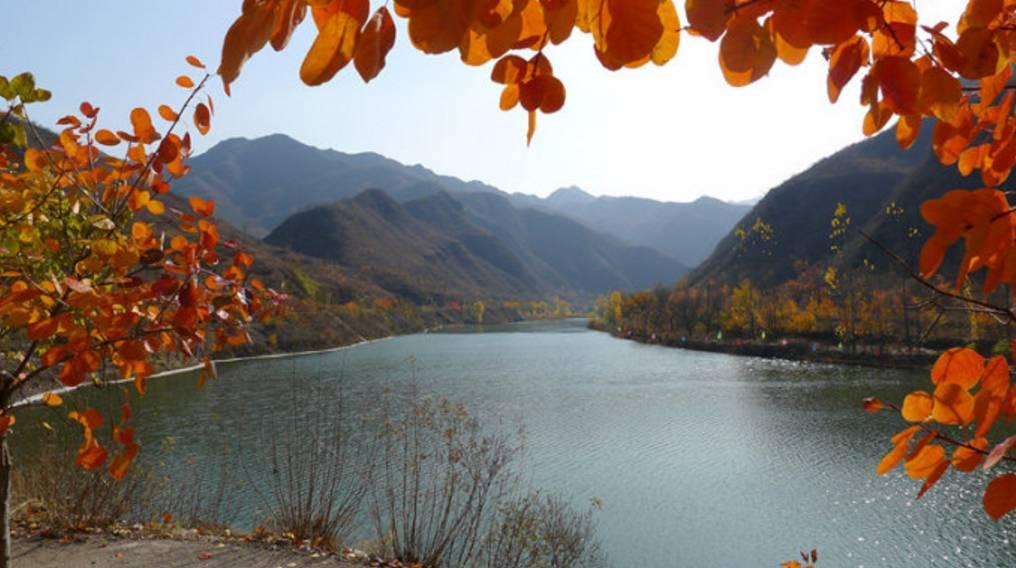 鲟鱼最新行情与探索自然美景之旅，追寻内心的宁静与喜悦