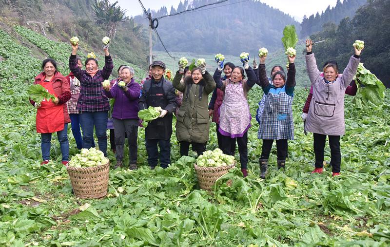 重庆涪陵最新新闻报道更新